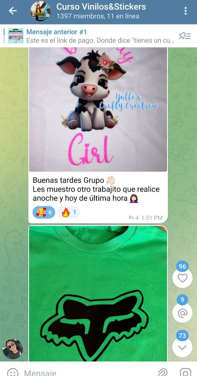 Remeras con vinilo textil (Vaca y Fox)