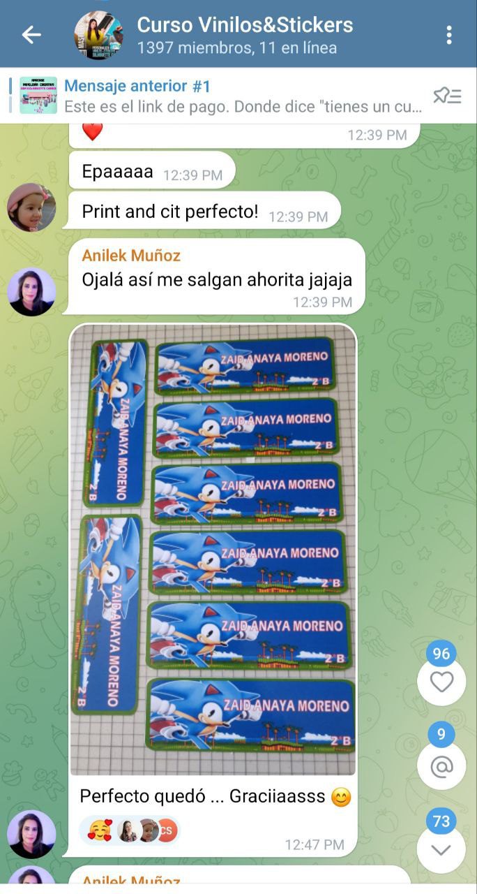 Etiquetas escolares de Sonic (Print & Cut)